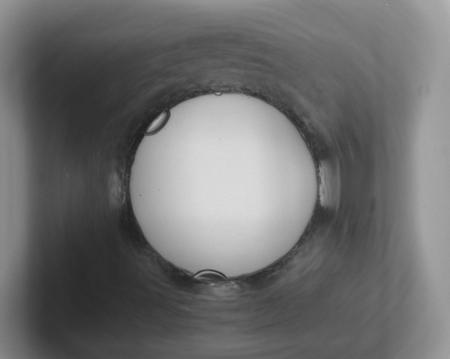 X0000102301491200808081533