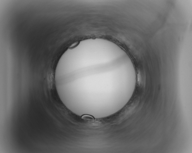 X0000102301492200808081533