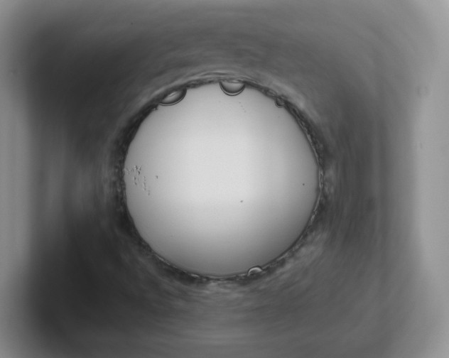 X0000102301496200808081533