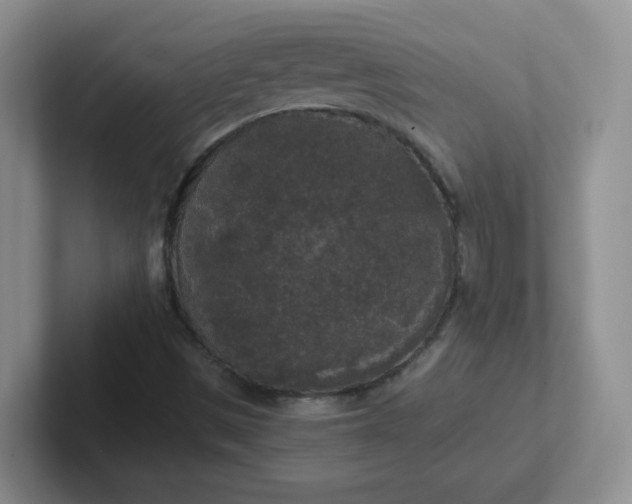 X0000102301497200808081533