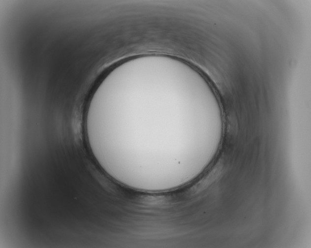 X0000102301499200808081533