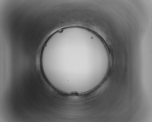 X0000102301500200808081533