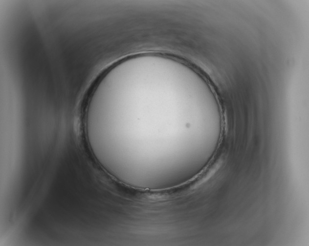 X0000102301501200808081533