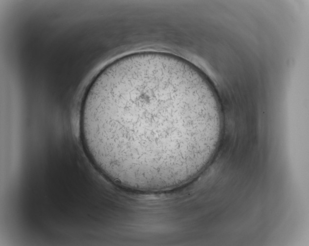 X0000102301504200808081533