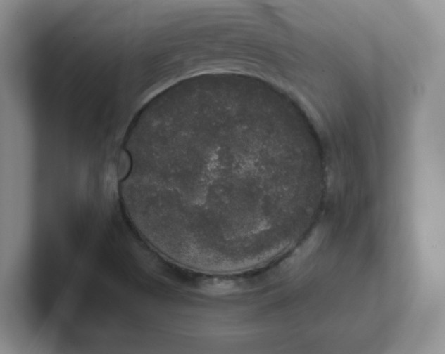 X0000102301505200808081533