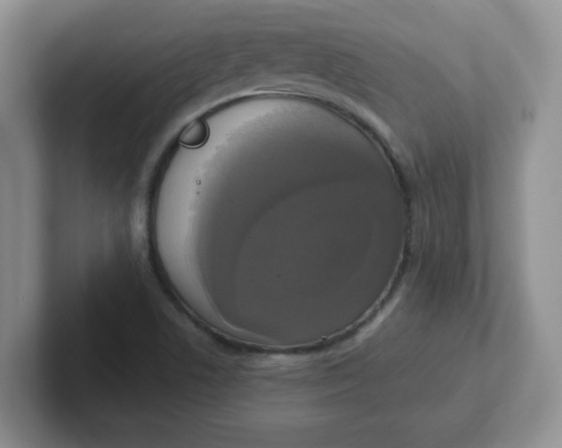 X0000102301506200808081533