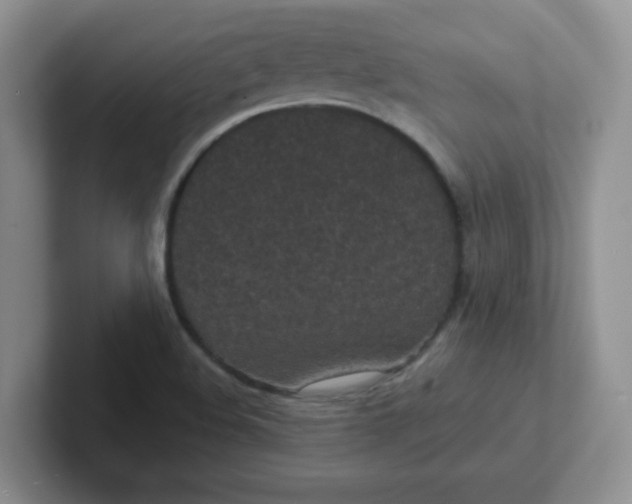 X0000102301508200808081533