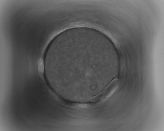 X0000102301509200808081533