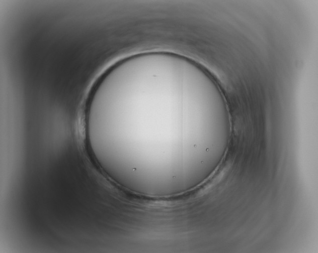 X0000102301510200808081533