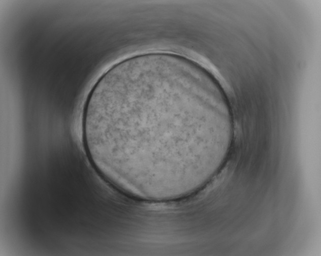 X0000102301512200808081533