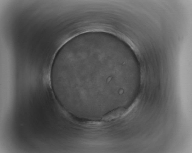 X0000102301513200808081533