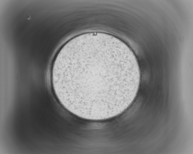 X0000102301514200808081533