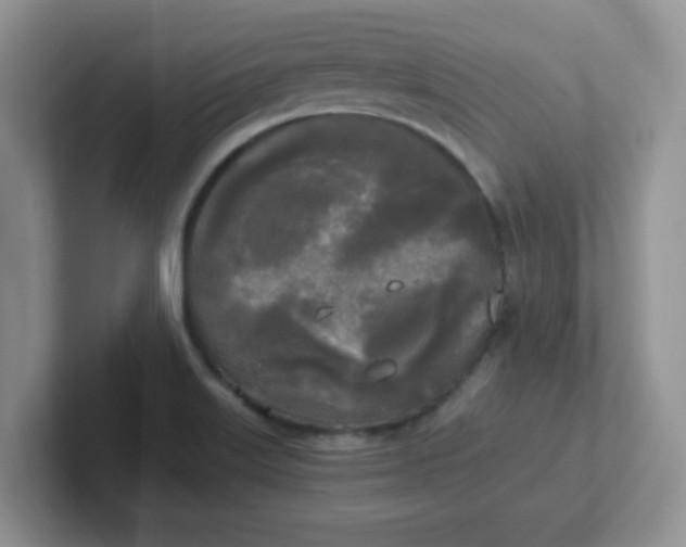 X0000102301515200808081533