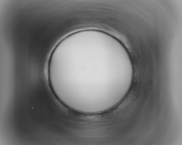 X0000102301516200808081533