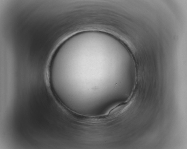 X0000102301517200808081533