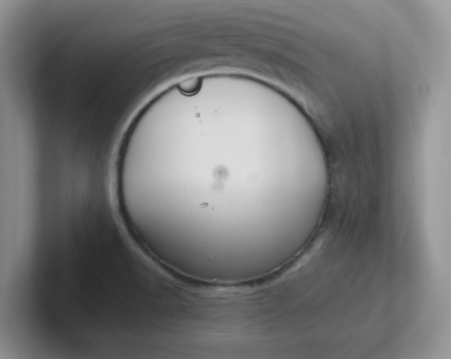 X0000102301518200808081533