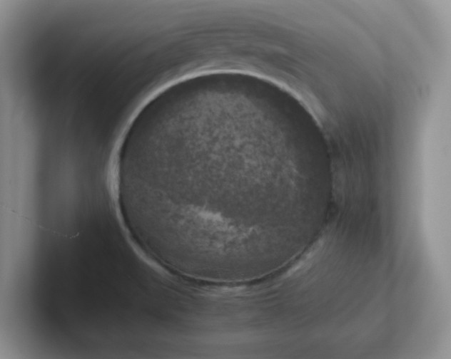 X0000102301519200808081533