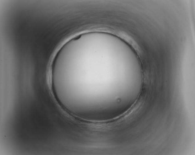 X0000102301520200808081533