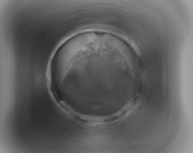 X0000102301522200808081533