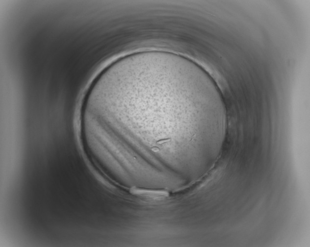 X0000102301523200808081533