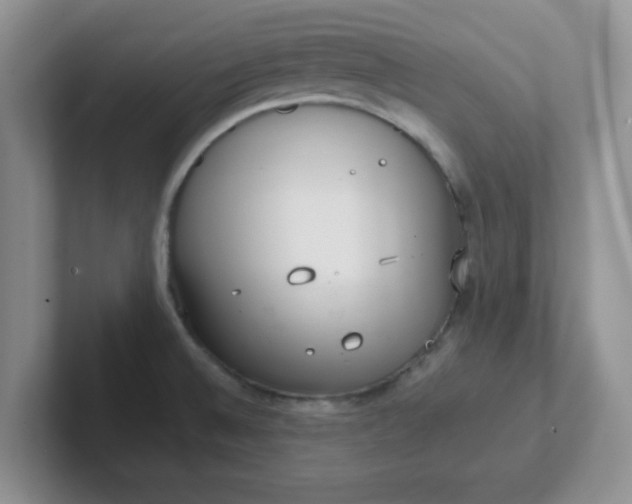 X0000102301524200808081533