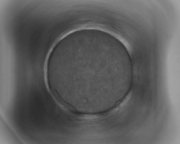 X0000102301525200808081533