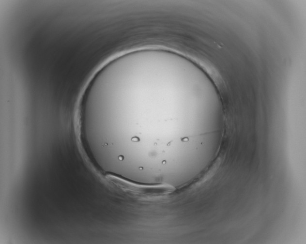 X0000102301526200808081533