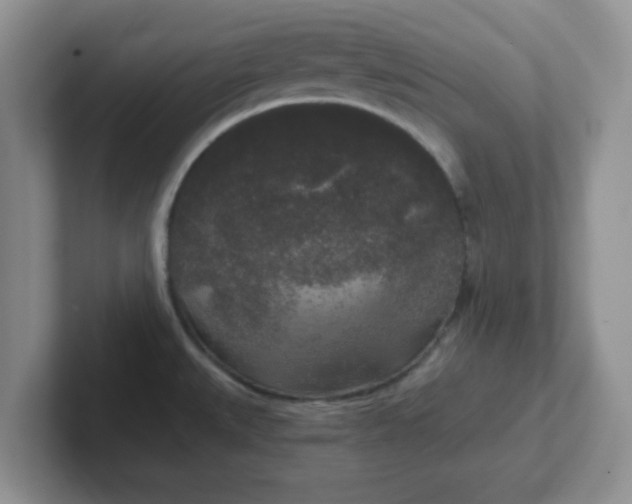 X0000102301527200808081533