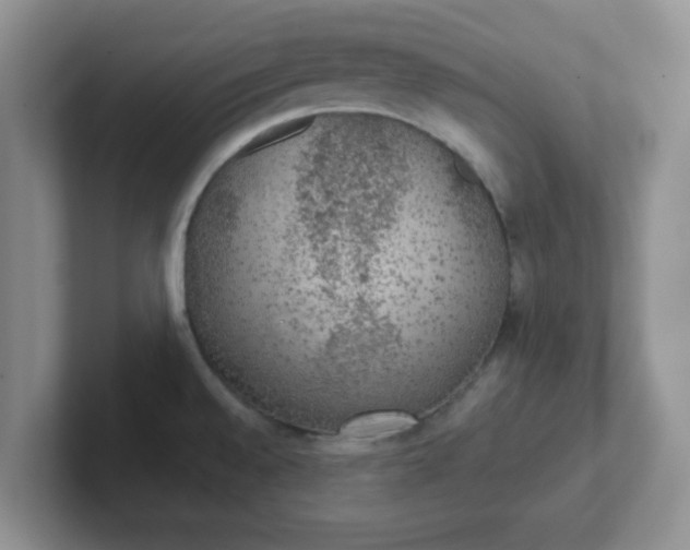 X0000102301528200808081533