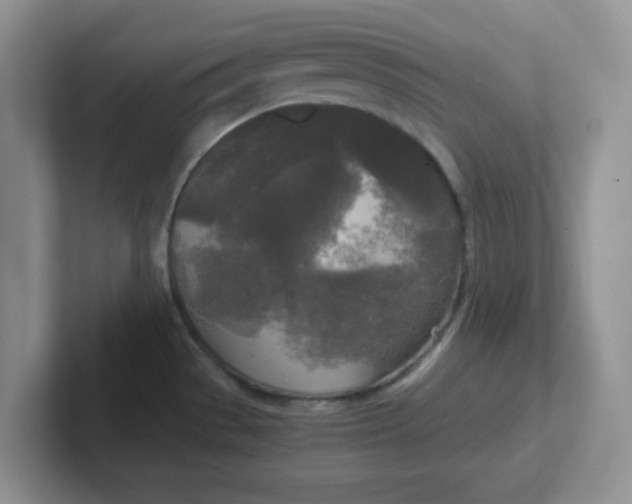 X0000102301529200808081533