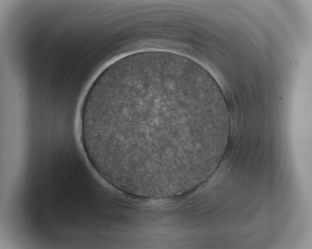 X0000102301531200808081533