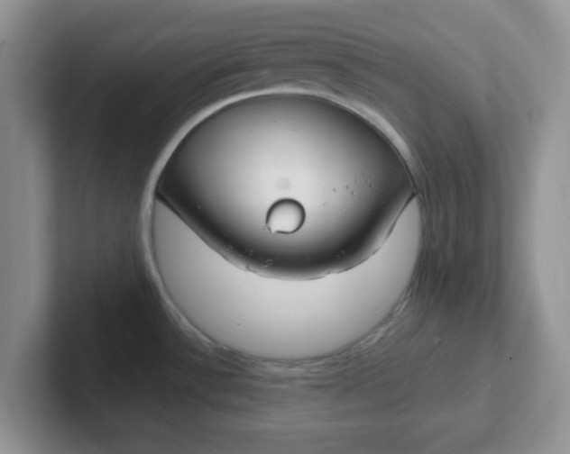 X0000102301532200808081533