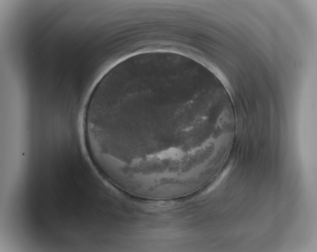 X0000102301533200808081533