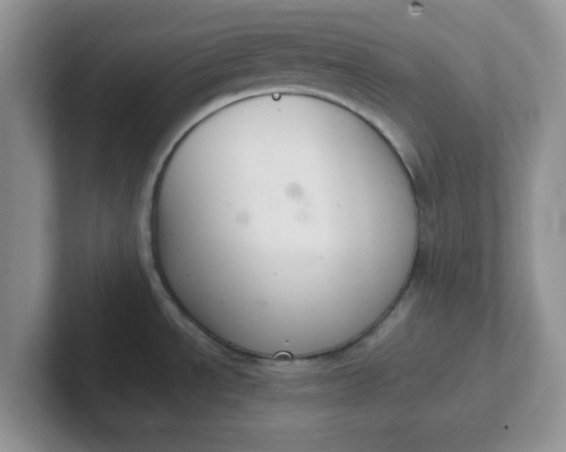 X0000102301534200808081533