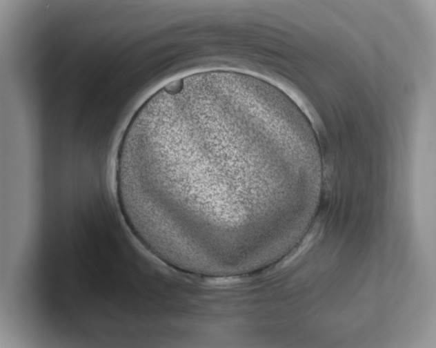 X0000102301535200808081533