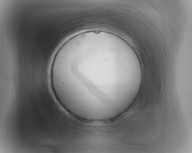 X0000102301536200808081533