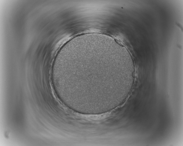 X0000102300001200808152029