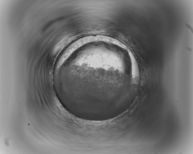 X0000102300002200808152029