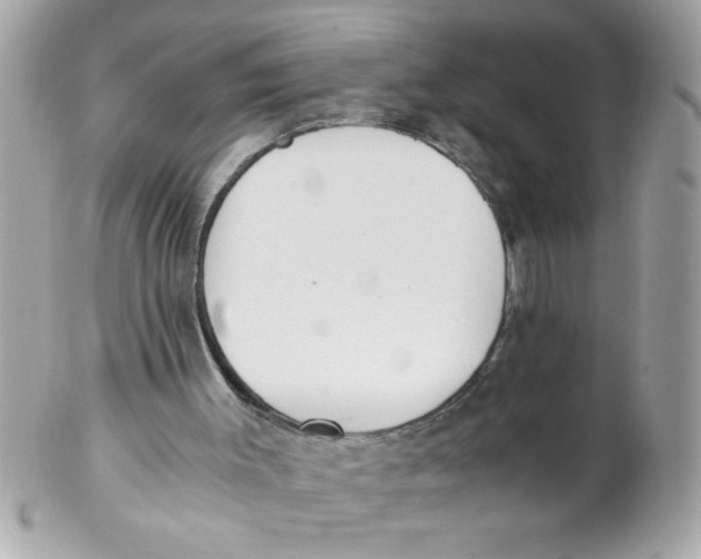 X0000102300003200808152029