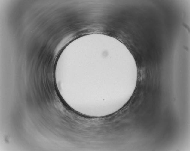 X0000102300004200808152029