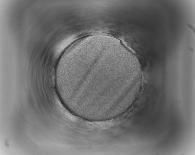 X0000102300005200808152029