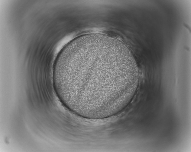 X0000102300006200808152029