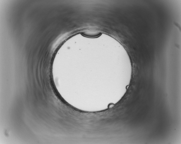 X0000102300007200808152029