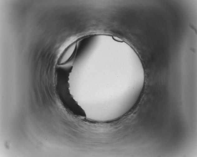 X0000102300008200808152029