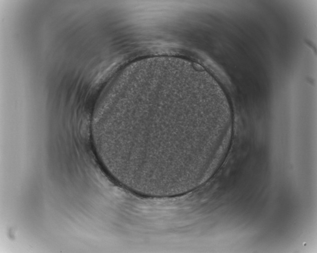 X0000102300009200808152028