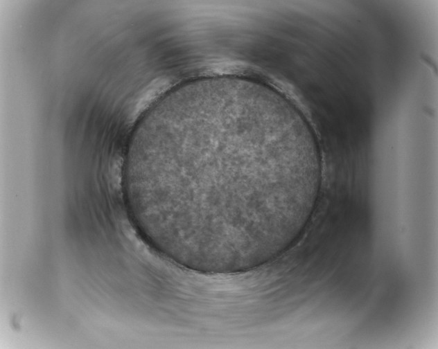 X0000102300010200808152028