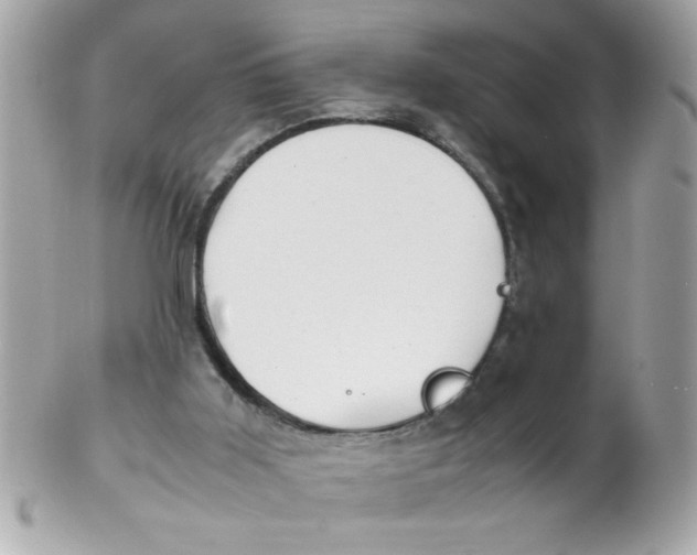 X0000102300011200808152028
