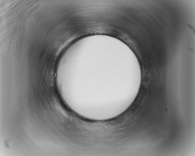 X0000102300012200808152028