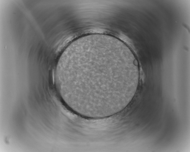 X0000102300013200808152028