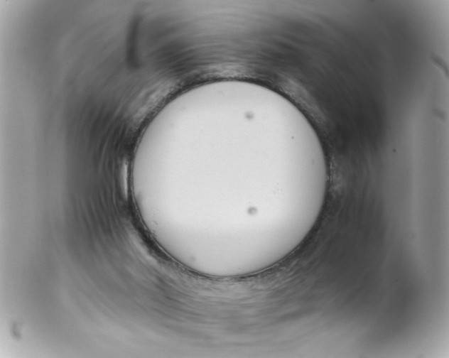 X0000102300014200808152028